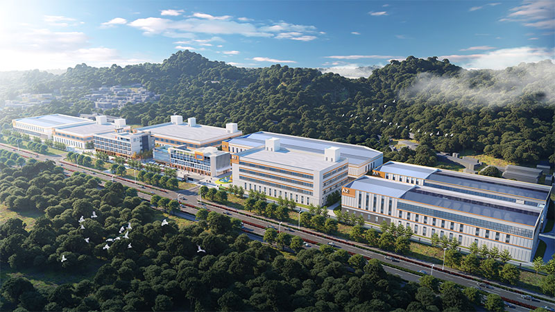 Yunnan tea production base for traceable green tea and specialty tea supply