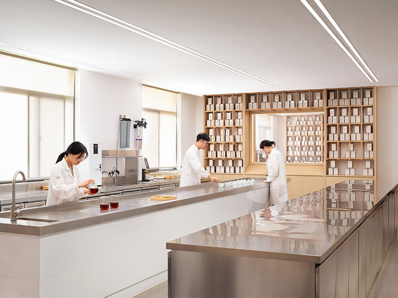 Tea R&D experts developing custom bulk tea blends in a quality control laboratory